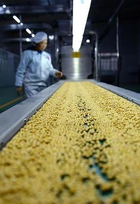 湖北宣恩传统黄豆食品标准化生产闯市场