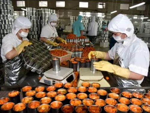 中国是世界第一罐头生产国,为何国人却光生产不吃,以出口为主