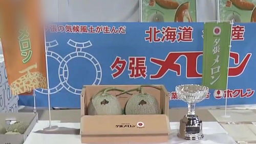 日本一对蜜瓜拍卖2万多美元,超出去年价格22.5倍